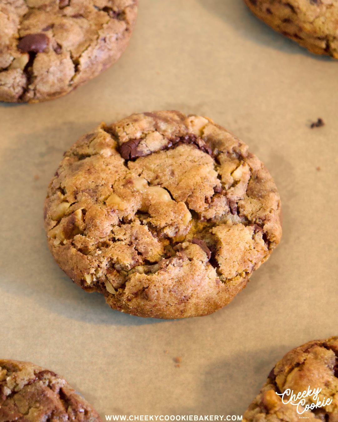 CHOCOLATE WALNUT COOKIE