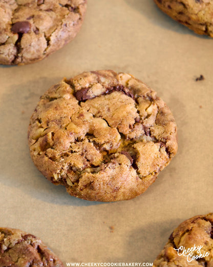 CHOCOLATE WALNUT COOKIE