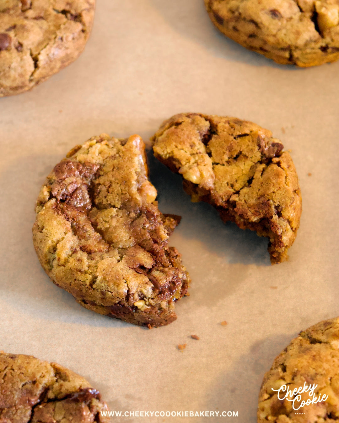 CHOCOLATE WALNUT COOKIE